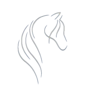 TheOldMare